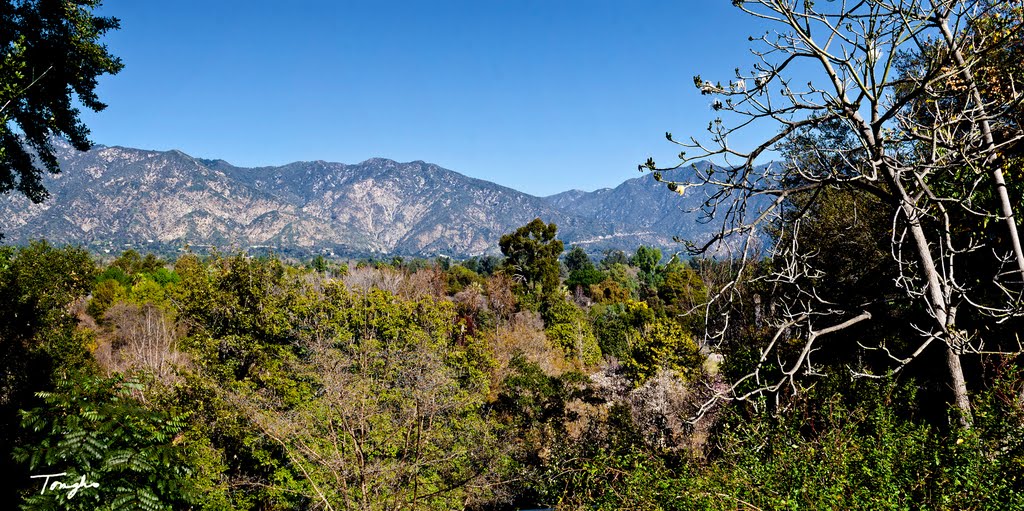 San Gabriel Mountains, Аркадиа