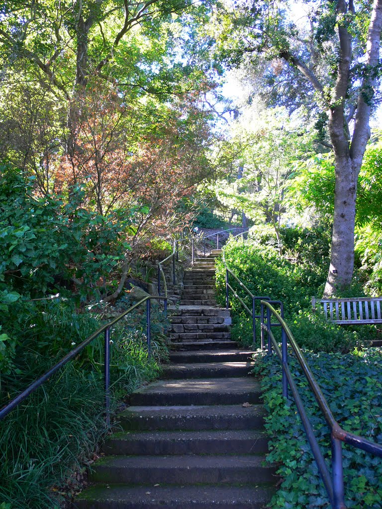 The Arboretum of Los Angeles County, California, Аркадиа