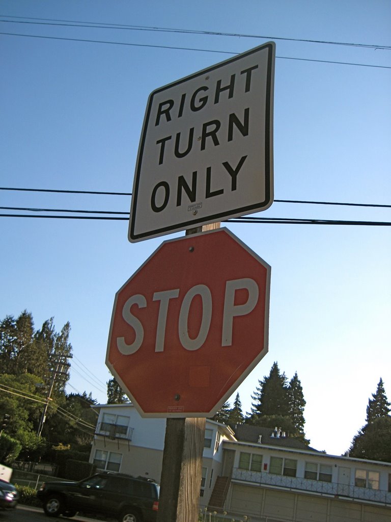 Stop and Turn Right?, Барлингейм