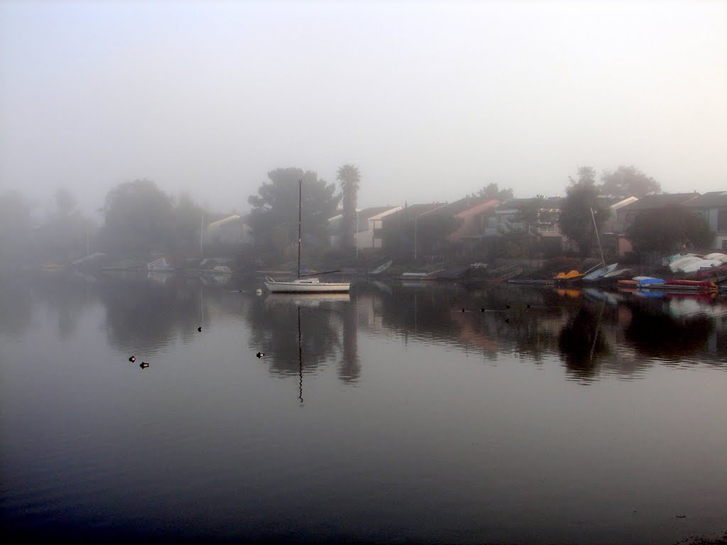 Foggy Winter Morning, Белмонт