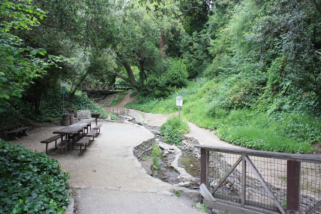 Codornices Park Picnic Area, Беркли