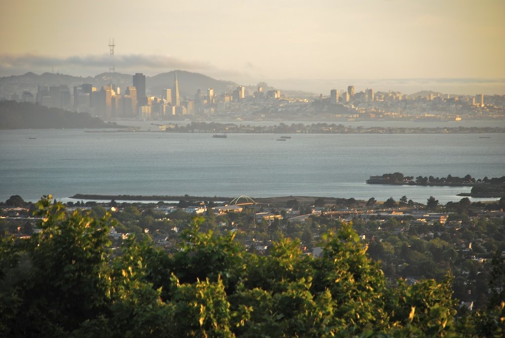 View to San Francisco From North Berkeley Hills, Беркли