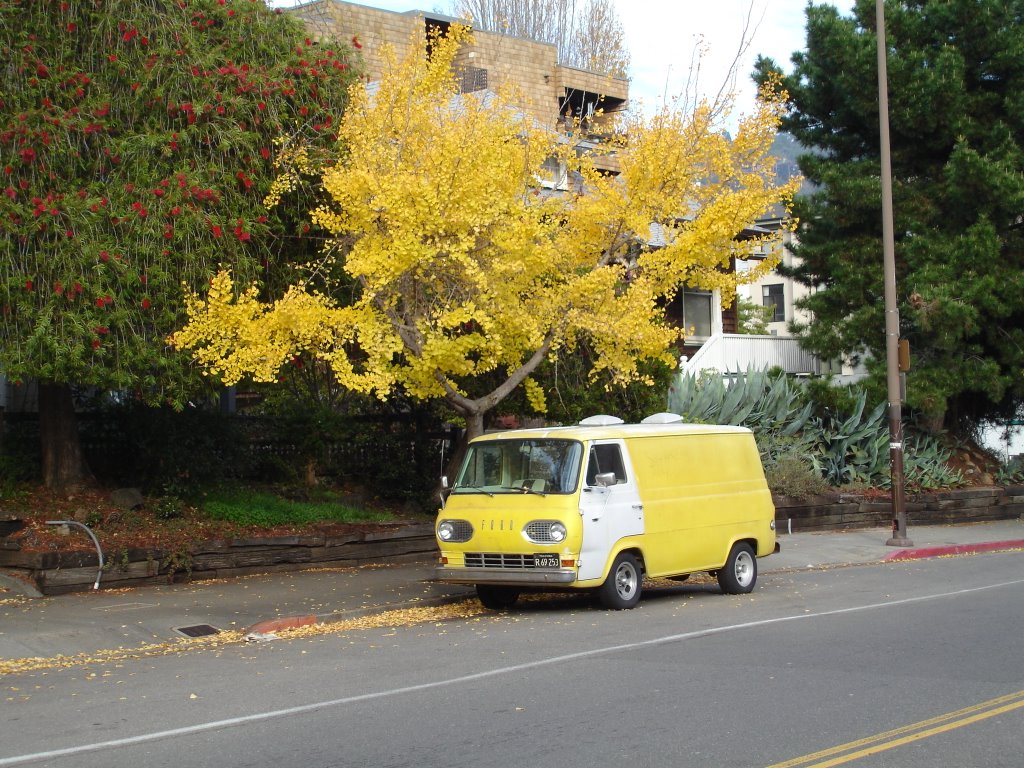 autumn car, Беркли