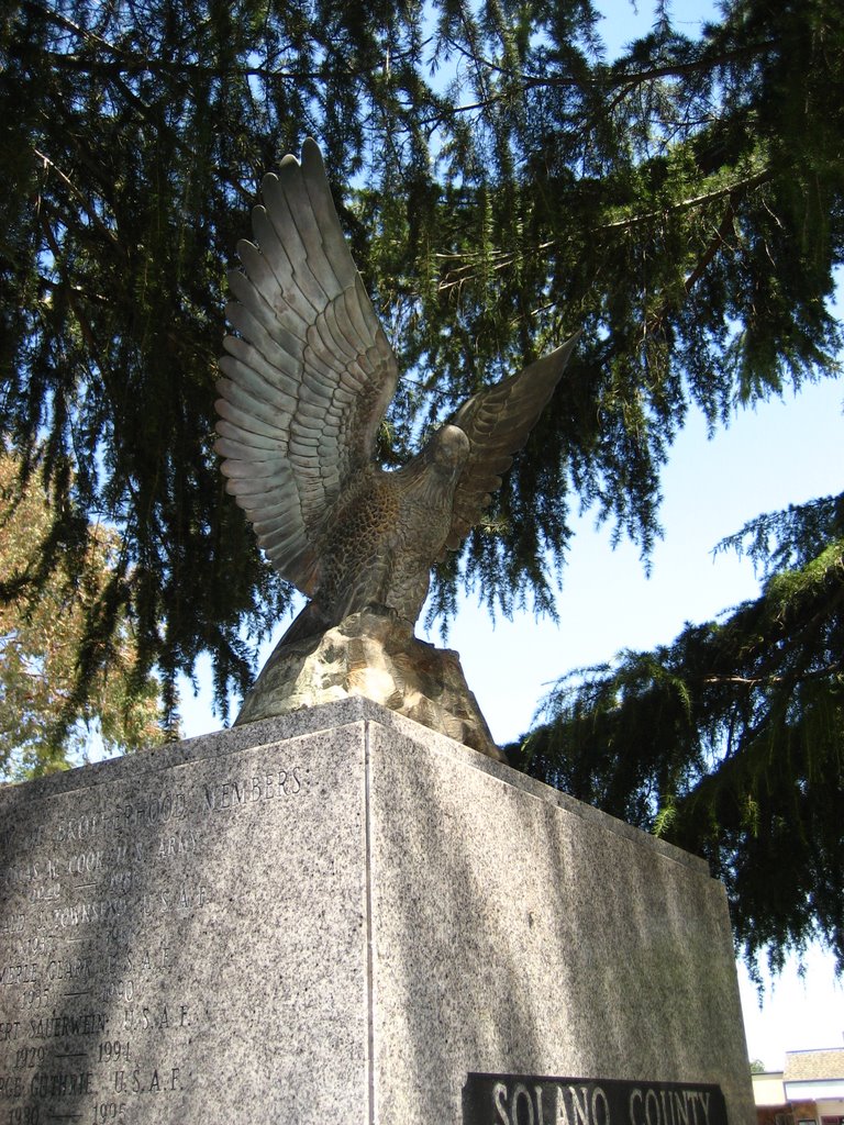 Vietnam Memorial Eagle, Вакавилл