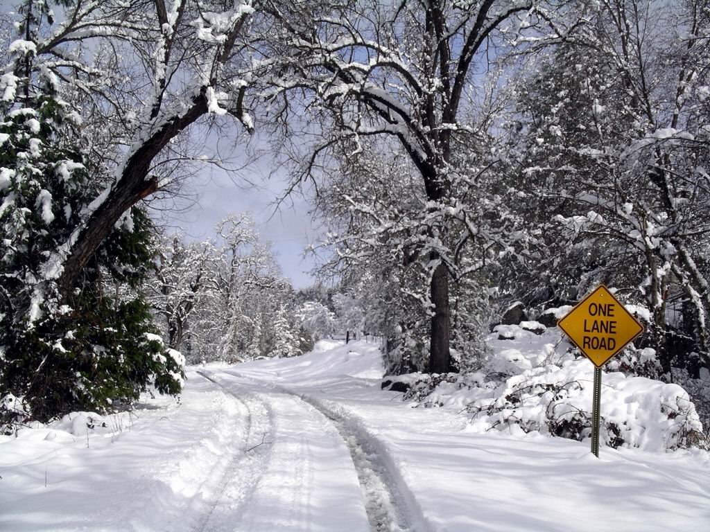Snowy Road 425C, Валнут-Крик