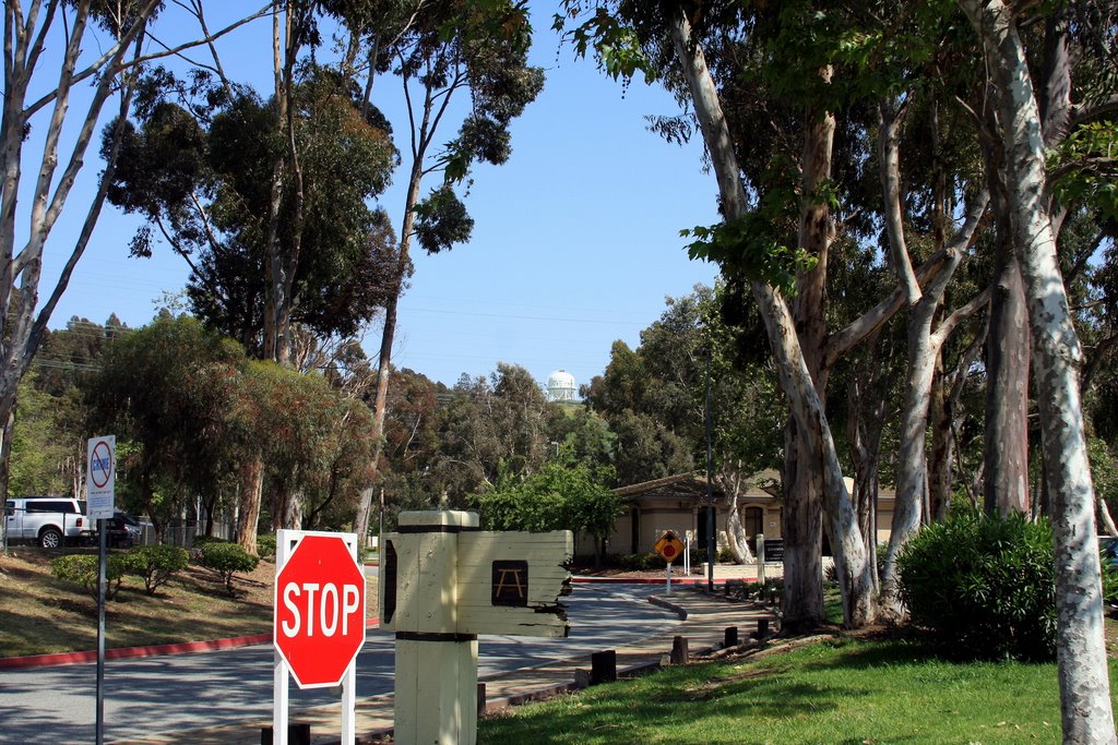 Kenneth Hahn Park,Los Angeles,Ca., Вью-Парк