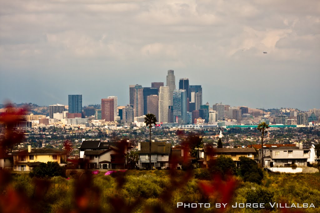 Los Angeles Skyline from Kenneth Hahn Recreational Park, Вью-Парк