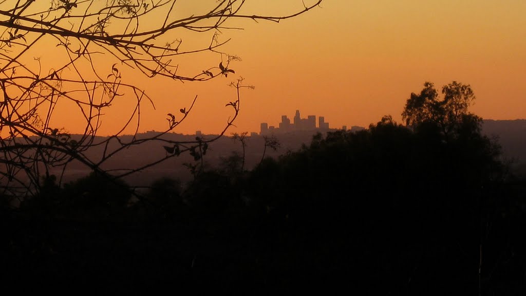 downtown LA from south hill park, Глендора