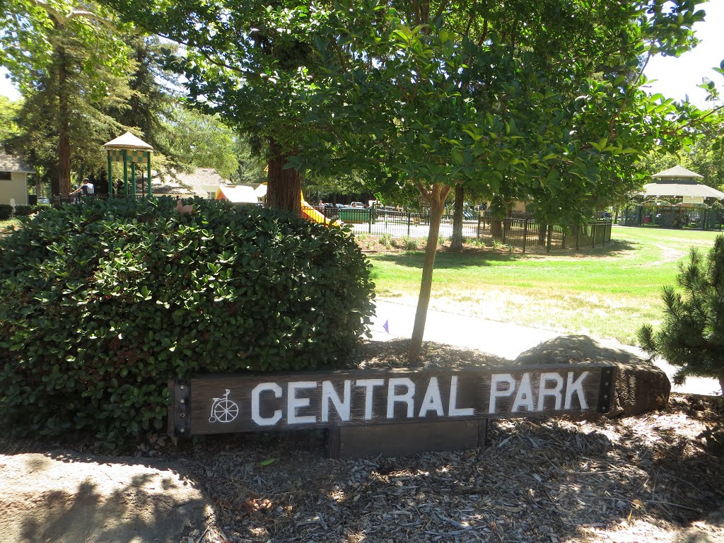 Central Park, Davis, CA 96, Дэвис
