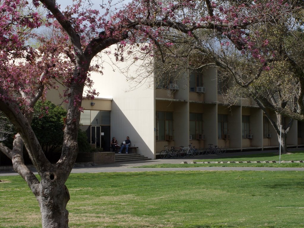 Everson Hall, UC Davis, Дэвис