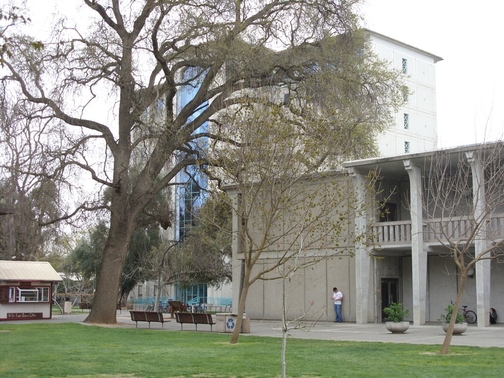 Olson Hall and Sproul Hall, UC Davis, Дэвис