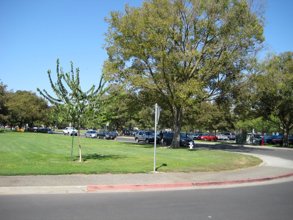 CF@UC Davis Campus, Дэвис