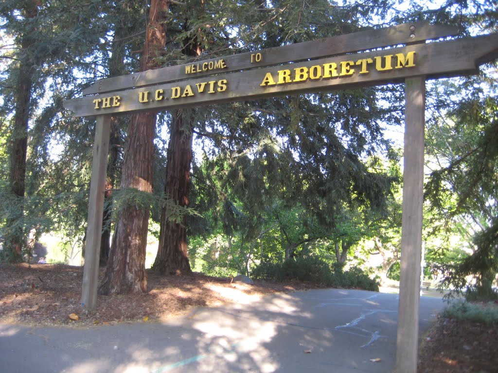 CF@UC Davis Arboretum, Дэвис