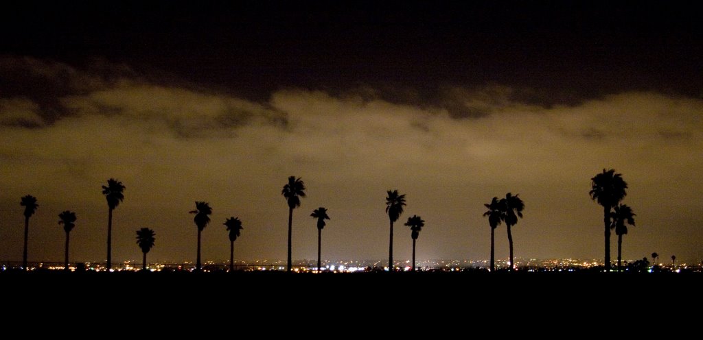 Palm Trees at Night, Империал-Бич