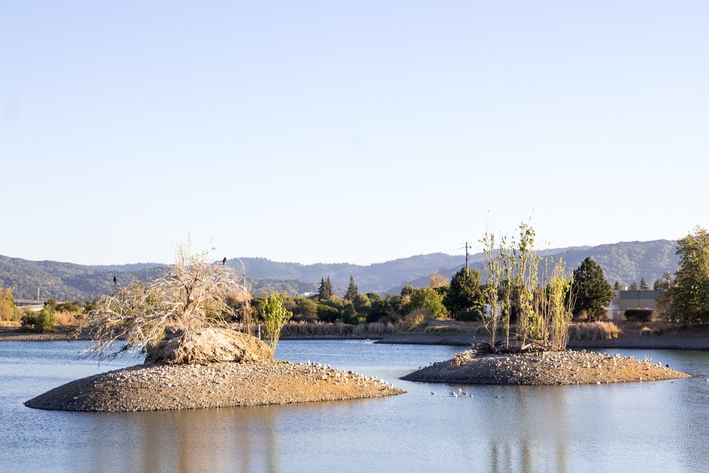 Camden Ponds in Los Gatos Creek County Park, Кампбелл