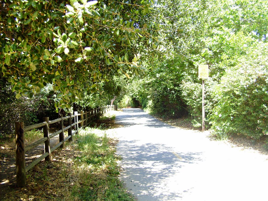 Walking Path, Кампбелл