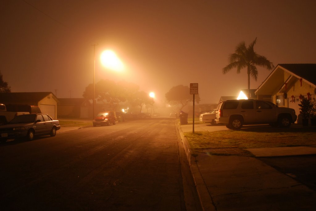 Selwyn Ave. in a Foggy night, Карсон