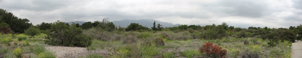 Rancho Santa Ana Botanical Garden- San Gabriel Peaks, Клермонт