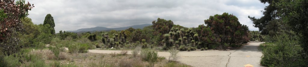 Rancho Santa Ana Botanical Garden- Trail Spilt, Клермонт
