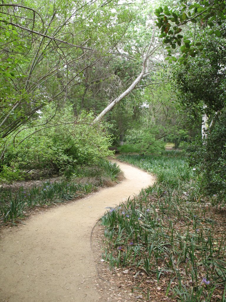 Rancho Santa Ana Botanical Garden- Wooded Path, Клермонт