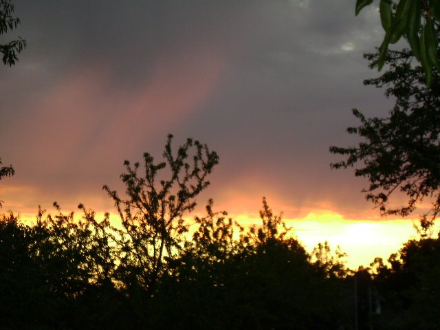 Summer Sunset Over N. Sunnyside, Кловис