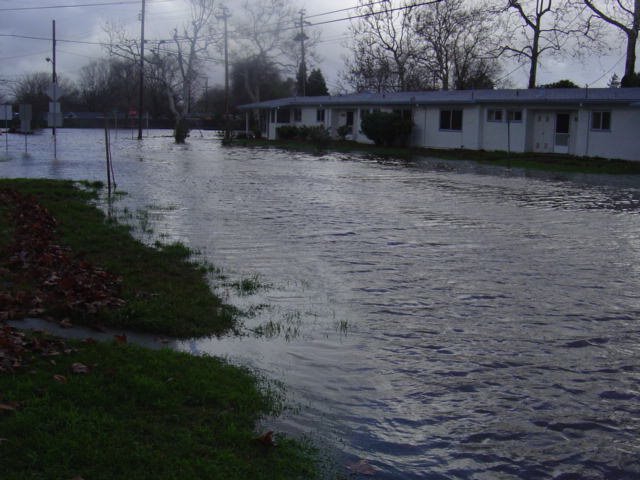 2005 Flood: Coast Guard Housing(Quinalt Village) on Hamilton Ave Looking towards Olivera Road, Конкорд