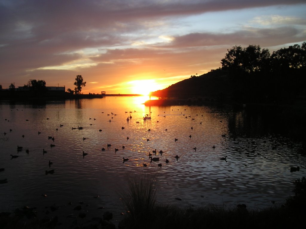 Lake Murray Sunset, Ла-Меса