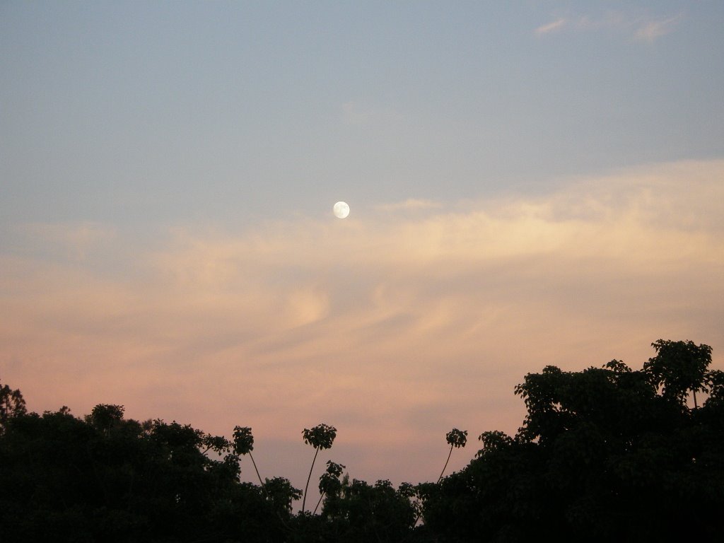 Sunset in La Mesa Ca., Лемон-Гров
