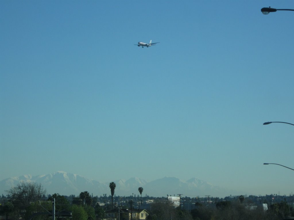 American Airlines seen from 105 @ 405 Fwys, Los Angeles, CA USA, Леннокс