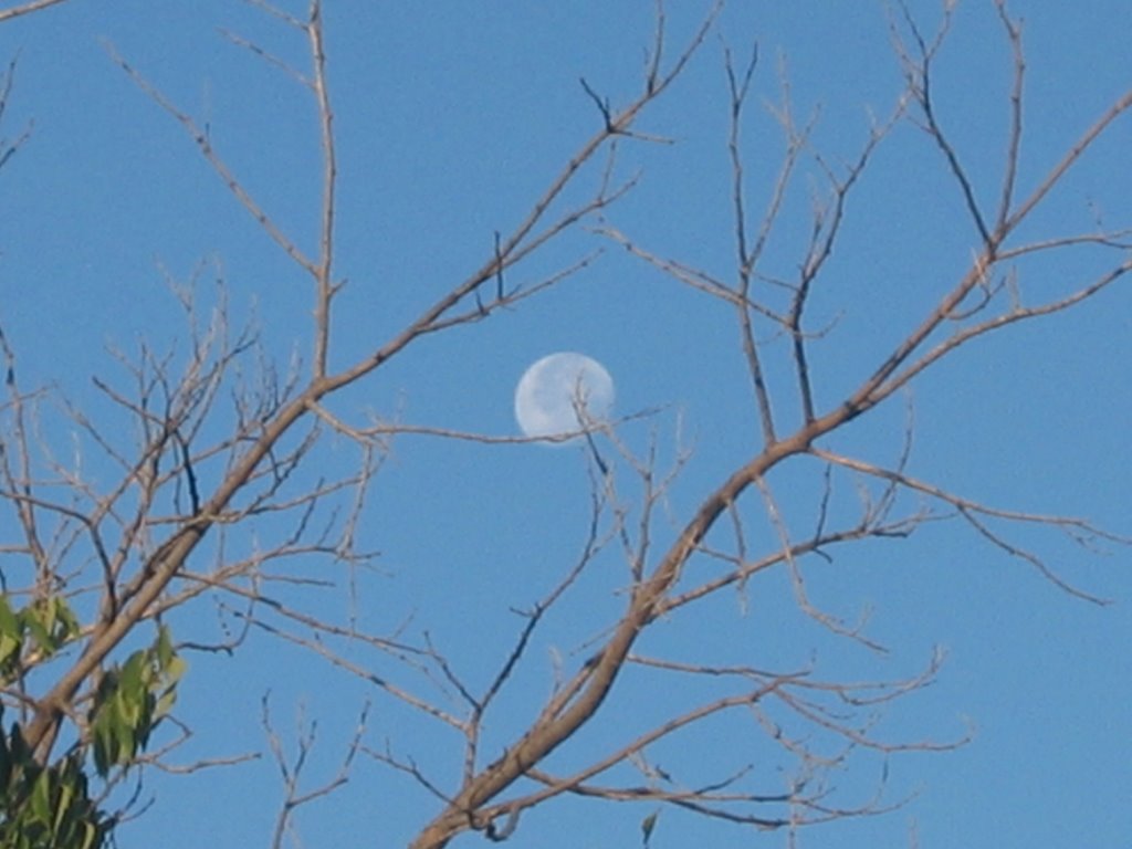 Full moon in broad daylight..., Ливермор