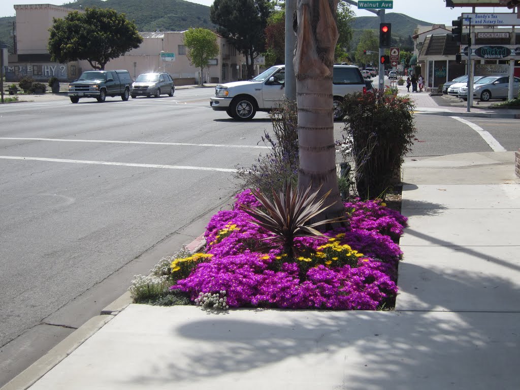Lompoc, California - Valley of Flowers, Ломпок