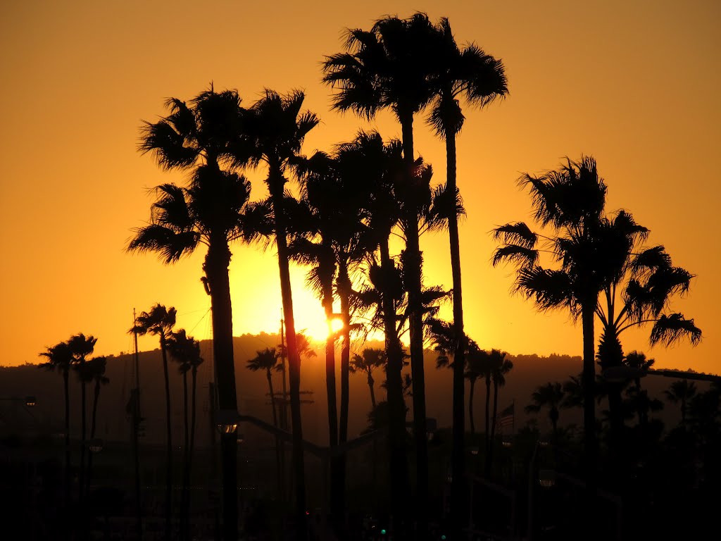 Palm Tree Sunset, Лонг-Бич