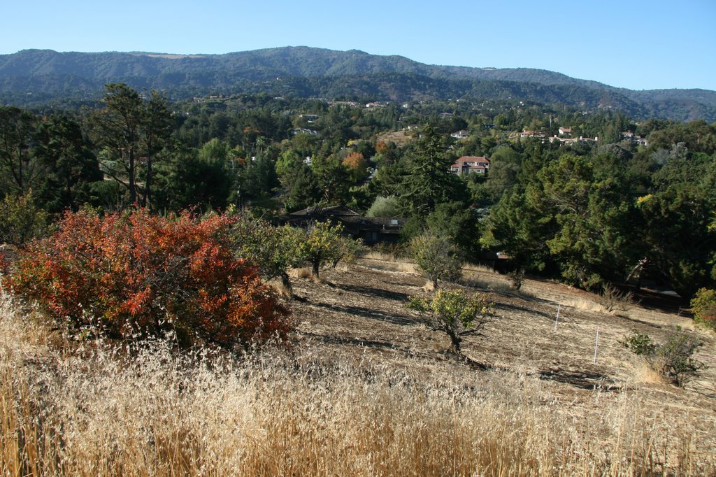 Los Altos Hills, California, Лос-Альтос