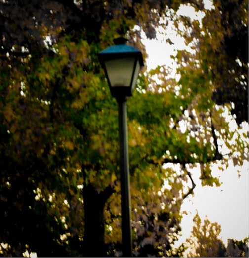 street lamp, Лос-Альтос