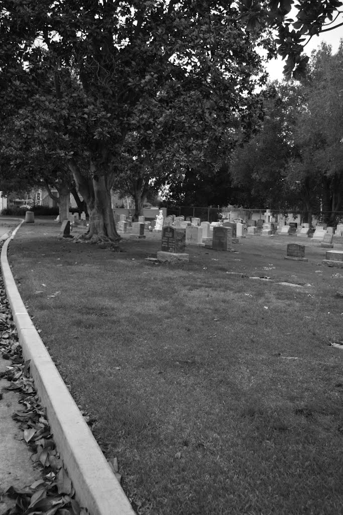 graves, Лос-Альтос
