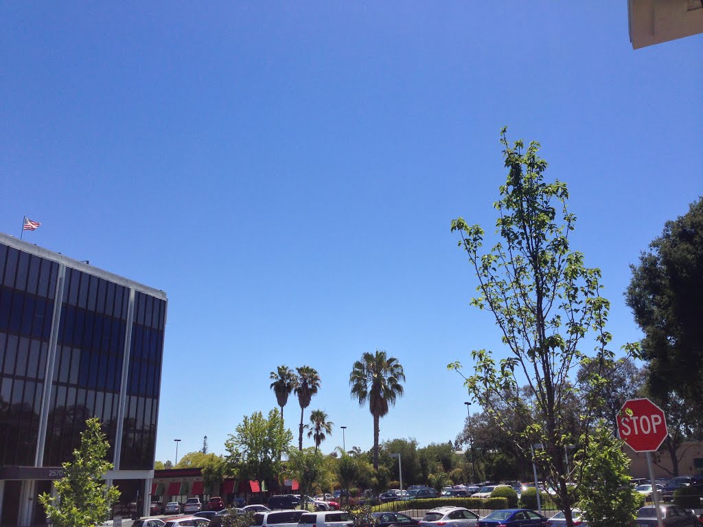 Blue skies, Лос-Альтос