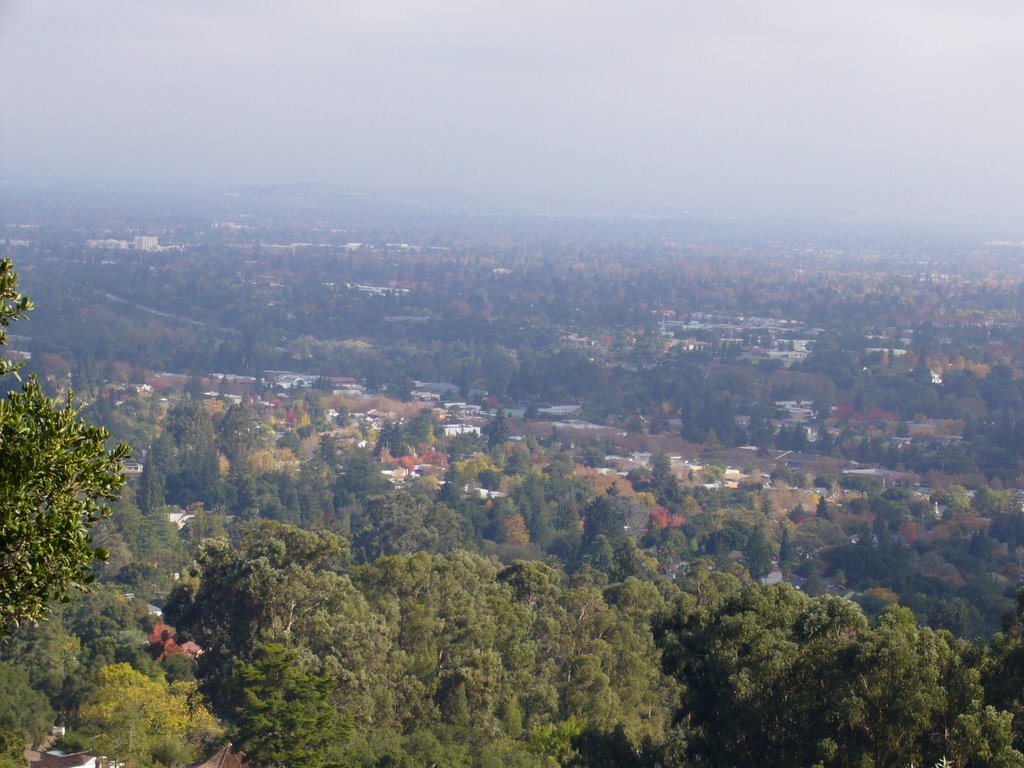 Silicon Valley from High up in Los Gatos, Лос-Гатос