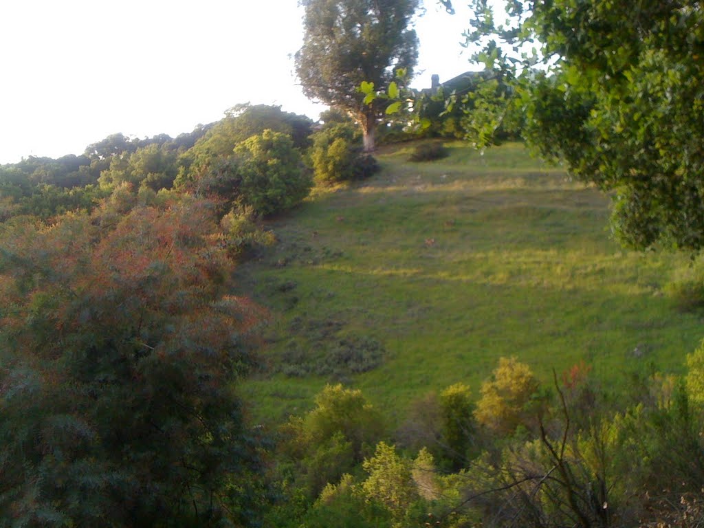 Manzanita Hill, Лос-Гатос