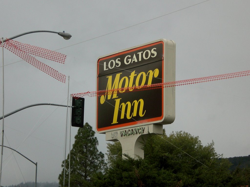 Los Gatos Motor Inn, Лос-Гатос
