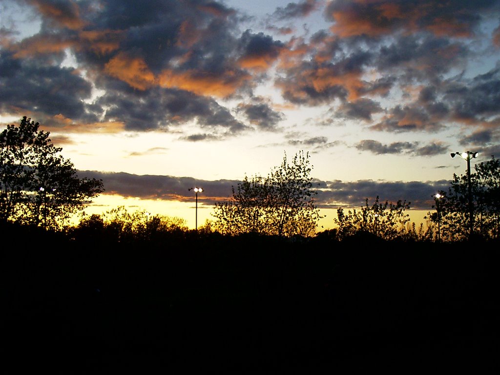 Sunset at the Track, Марисвилл