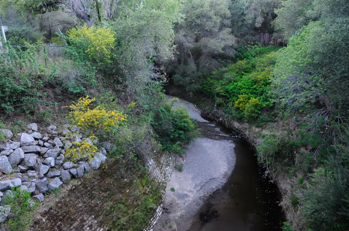 Creek from Ped Bridge, Менло-Парк