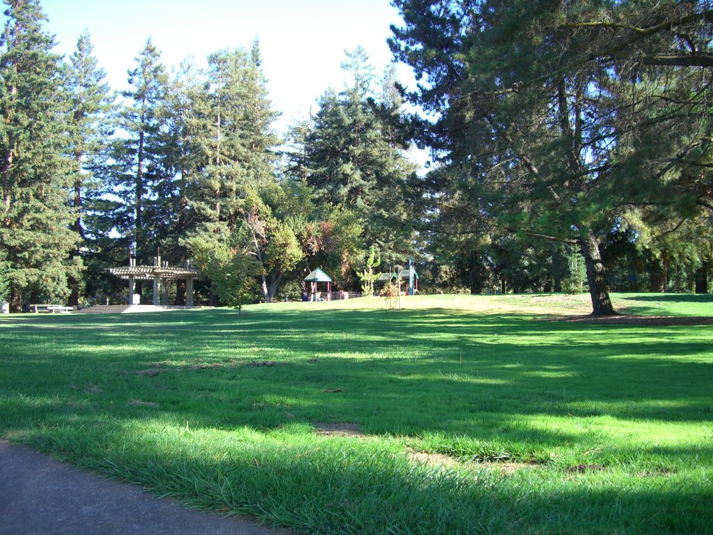 park grass before playground, Моунтайн-Вью