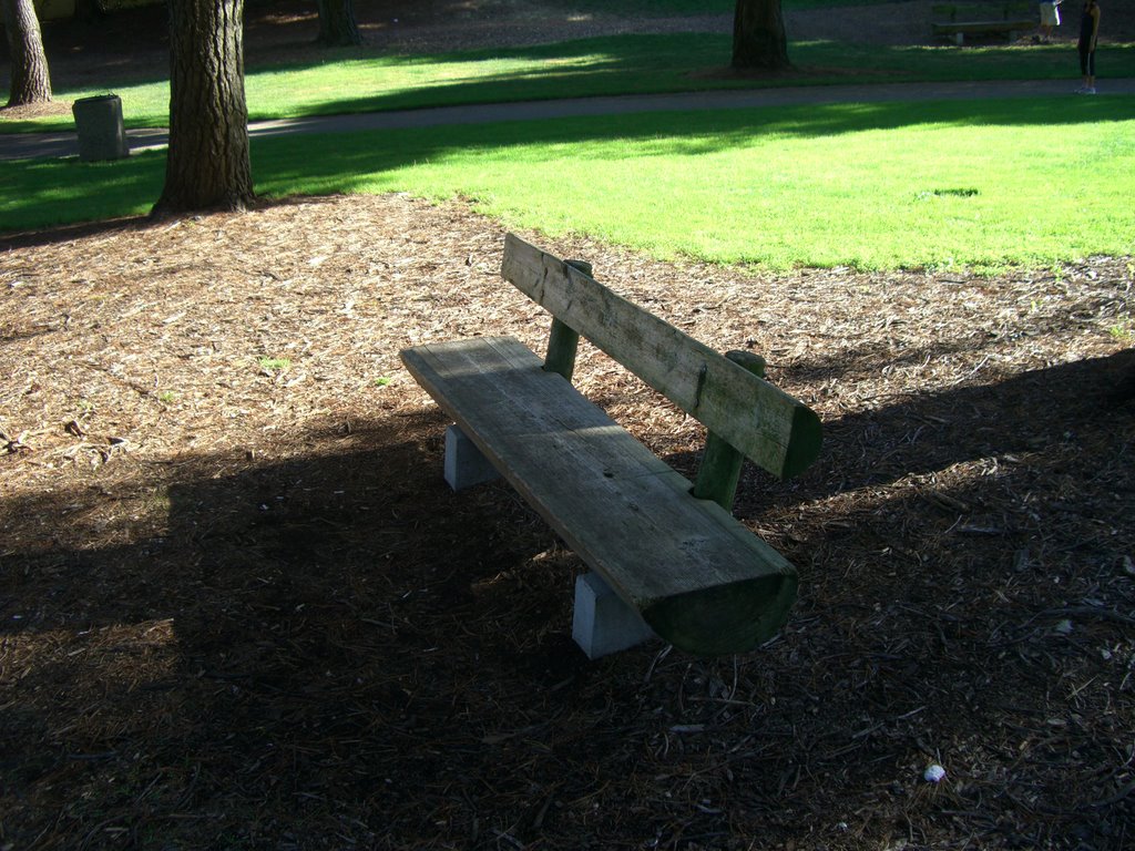 log bench, Моунтайн-Вью