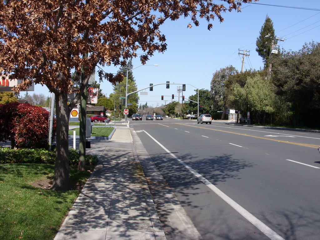 Miramonte Avenue, Mountain View, CA, Моунтайн-Вью
