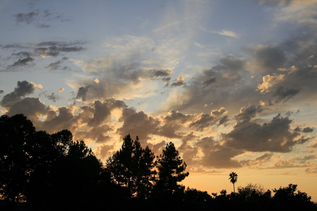 Eagle Park Sunset, Mountain View, California, Моунтайн-Вью