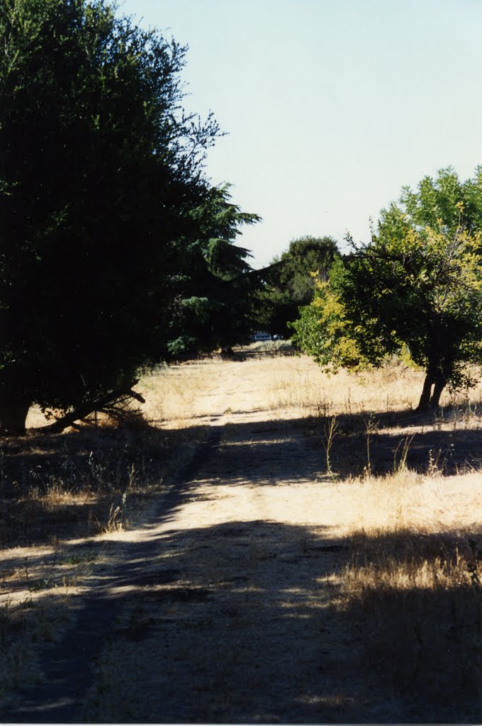 Cuesta Park Annex, Mountain View CA 1994, Моунтайн-Вью