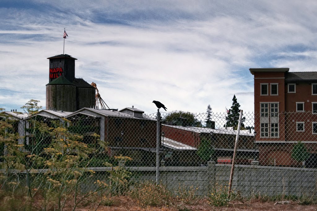 Napa Mill with crow, Напа