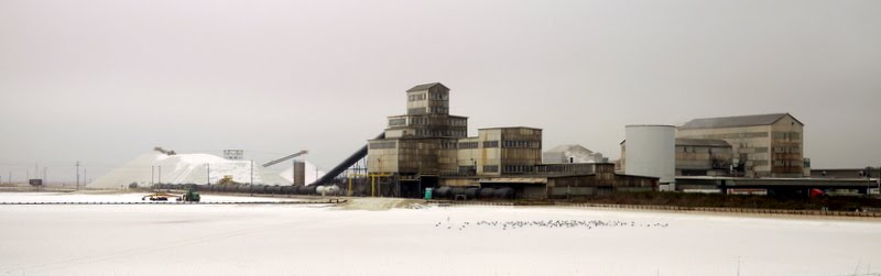 Salt Factory, Ньюарк