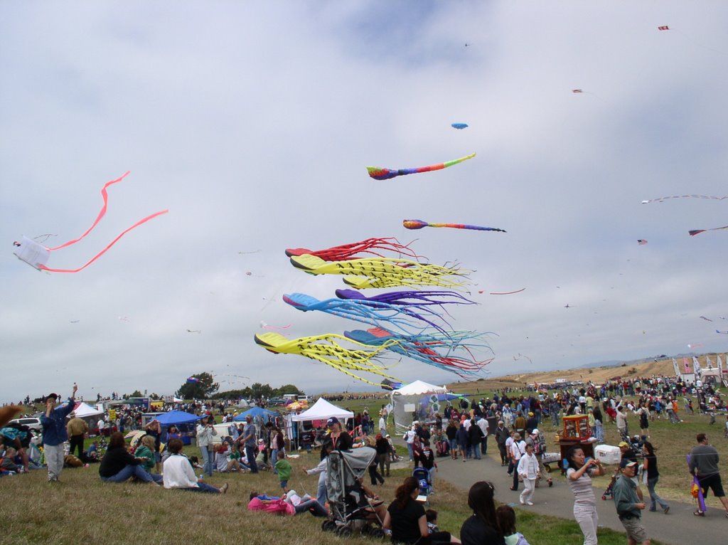 Kite Fair, Олбани
