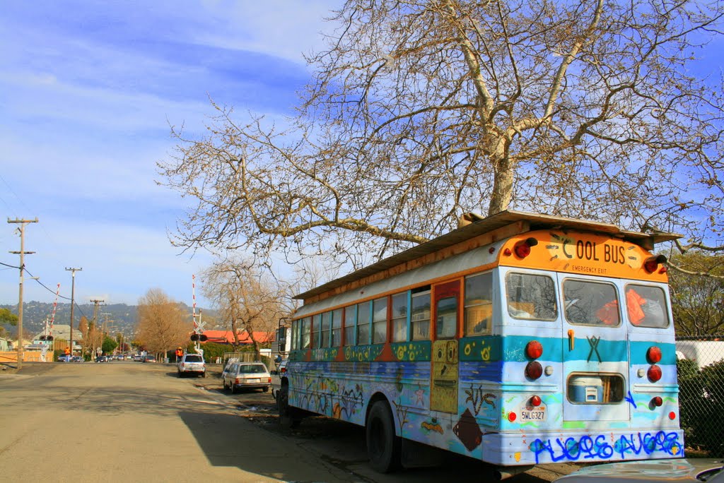 Cool Bus, Олбани